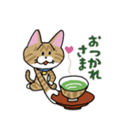 お茶目な茶虎ニャンコ（個別スタンプ：9）