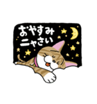 お茶目な茶虎ニャンコ（個別スタンプ：12）