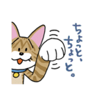 お茶目な茶虎ニャンコ（個別スタンプ：17）