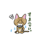 お茶目な茶虎ニャンコ（個別スタンプ：30）