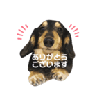//日常スタンプ//（個別スタンプ：5）