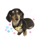 //日常スタンプ//（個別スタンプ：6）