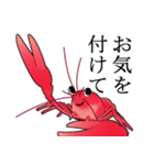 敬語のザリガニちゃんスタンプ（個別スタンプ：4）
