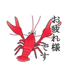 敬語のザリガニちゃんスタンプ（個別スタンプ：8）