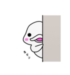 白イルカのイルミ（個別スタンプ：1）