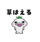 白イルカのイルミ（個別スタンプ：13）