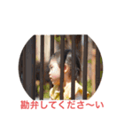 みおりvol.8（個別スタンプ：10）