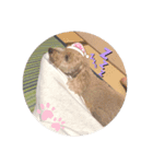 ぴっころくん！（個別スタンプ：5）