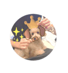 ぴっころくん！（個別スタンプ：7）