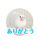 文鳥マナちゃんの開運スタンプ（個別スタンプ：4）