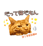 姫と三獣士♡茶トラのテオ♡（個別スタンプ：1）