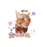 姫と三獣士♡茶トラのテオ♡（個別スタンプ：9）