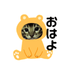 ベンガルレンジャーズのスタンプ④（個別スタンプ：2）
