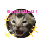 ベンガルレンジャーズのスタンプ④（個別スタンプ：6）