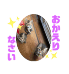 ベンガルレンジャーズのスタンプ④（個別スタンプ：13）