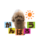 『まめすけ』パート2（個別スタンプ：3）