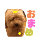 『まめすけ』パート2（個別スタンプ：5）