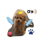 『まめすけ』パート2（個別スタンプ：11）