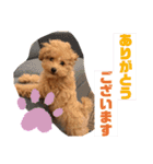 『まめすけ』パート2（個別スタンプ：24）