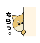 しばくんパート①（個別スタンプ：17）