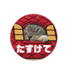 しおにゃんスタンプ（個別スタンプ：16）