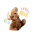 モコモコ兄弟シリーズ2（個別スタンプ：1）