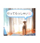 モコモコ兄弟シリーズ2（個別スタンプ：4）