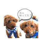 モコモコ兄弟シリーズ2（個別スタンプ：10）