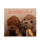 モコモコ兄弟シリーズ2（個別スタンプ：14）