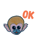 リスザル（個別スタンプ：1）