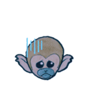 リスザル（個別スタンプ：5）