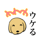 ゴールデンレトリーバー＆ビションフリーゼ（個別スタンプ：16）