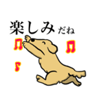 ゴールデンレトリーバー＆ビションフリーゼ（個別スタンプ：18）