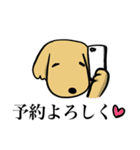 ゴールデンレトリーバー＆ビションフリーゼ（個別スタンプ：20）