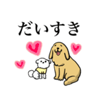 ゴールデンレトリーバー＆ビションフリーゼ（個別スタンプ：31）