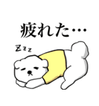 ゴールデンレトリーバー＆ビションフリーゼ（個別スタンプ：33）