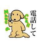 ゴールデンレトリーバー＆ビションフリーゼ（個別スタンプ：34）