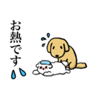 ゴールデンレトリーバー＆ビションフリーゼ（個別スタンプ：38）