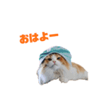 にゃいもいとおともだち（個別スタンプ：5）