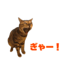 にゃいもいとおともだち（個別スタンプ：32）