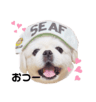 Qちゃんずラブ（個別スタンプ：2）
