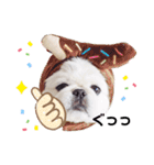 Qちゃんずラブ（個別スタンプ：5）