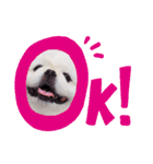 Qちゃんずラブ（個別スタンプ：9）