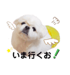 Qちゃんずラブ（個別スタンプ：15）