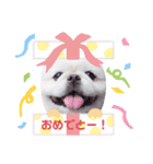 Qちゃんずラブ（個別スタンプ：17）
