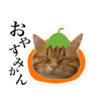 たべものdeちくわ（個別スタンプ：6）