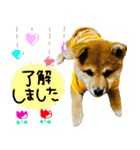 mimi♡♡♡mimi.2（個別スタンプ：14）