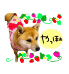 mimi♡♡♡mimi.2（個別スタンプ：15）