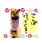 mimi♡♡♡mimi.2（個別スタンプ：27）