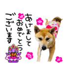 mimi♡♡♡mimi.2（個別スタンプ：31）